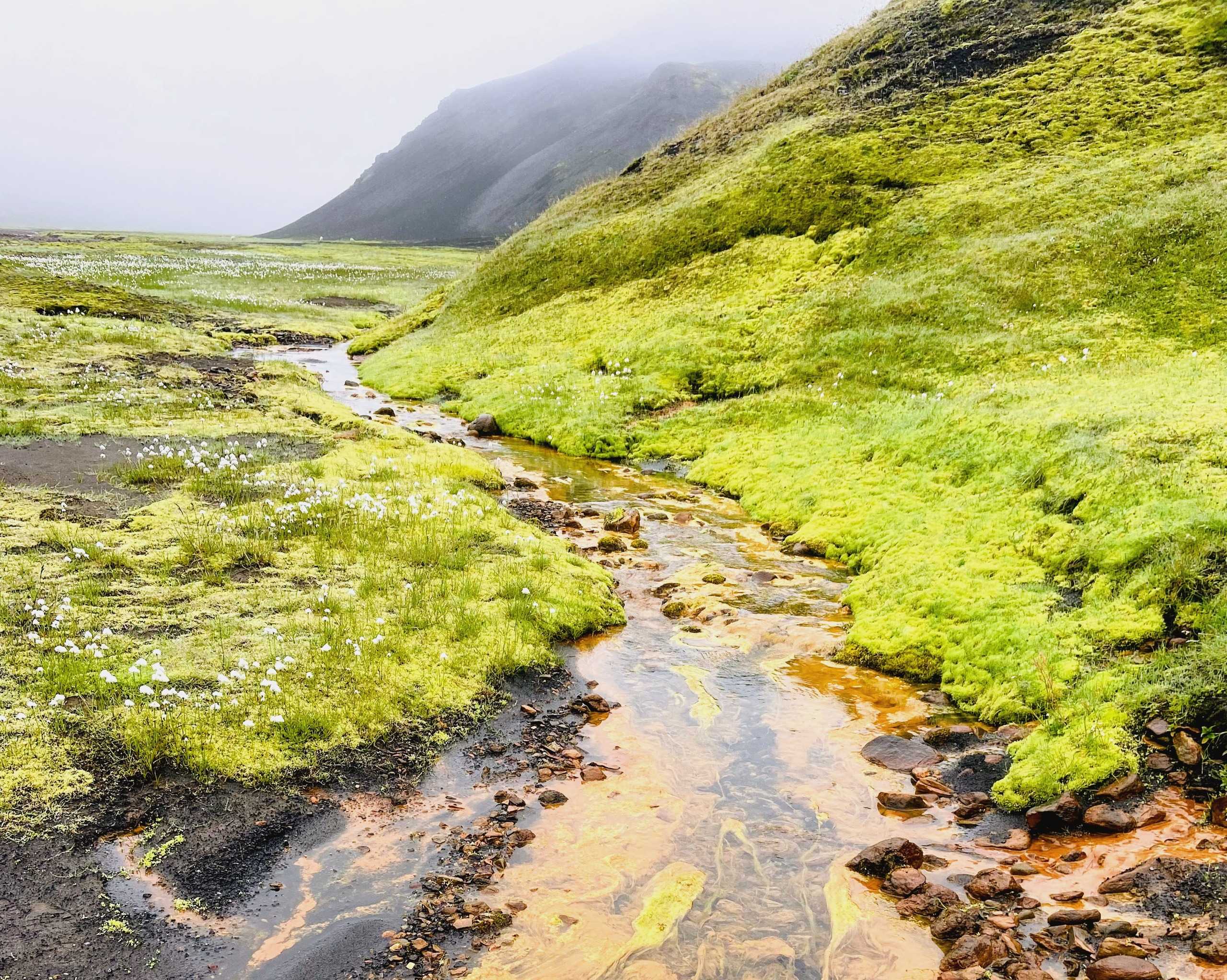 Vivid green moss and a rust-orange geothermal stream in a misty highland valley